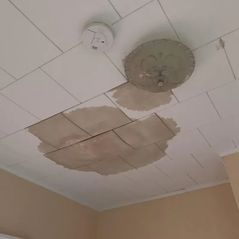Ceiling Water Damage Repair in Eaton, IN