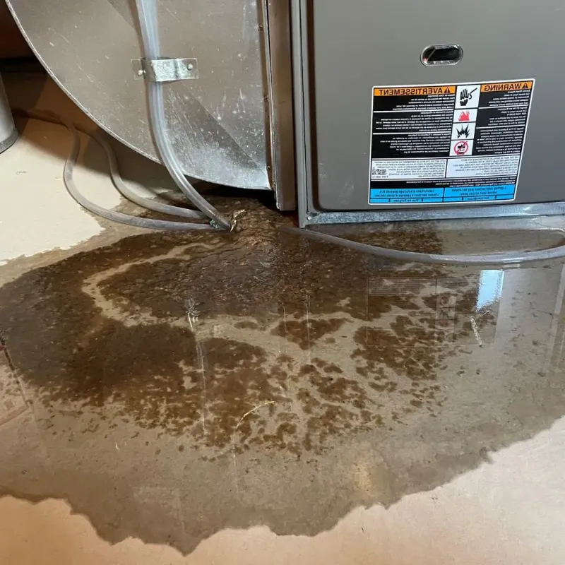 Pipe Burst and Leak Restoration in Eaton, IN