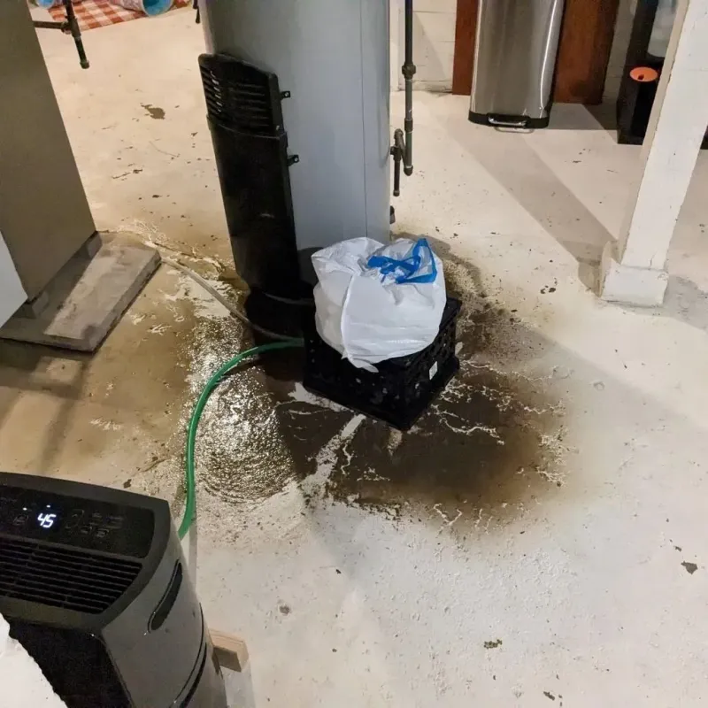 Sewage Backup Cleanup Service in Eaton, IN